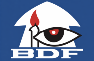 default-logo